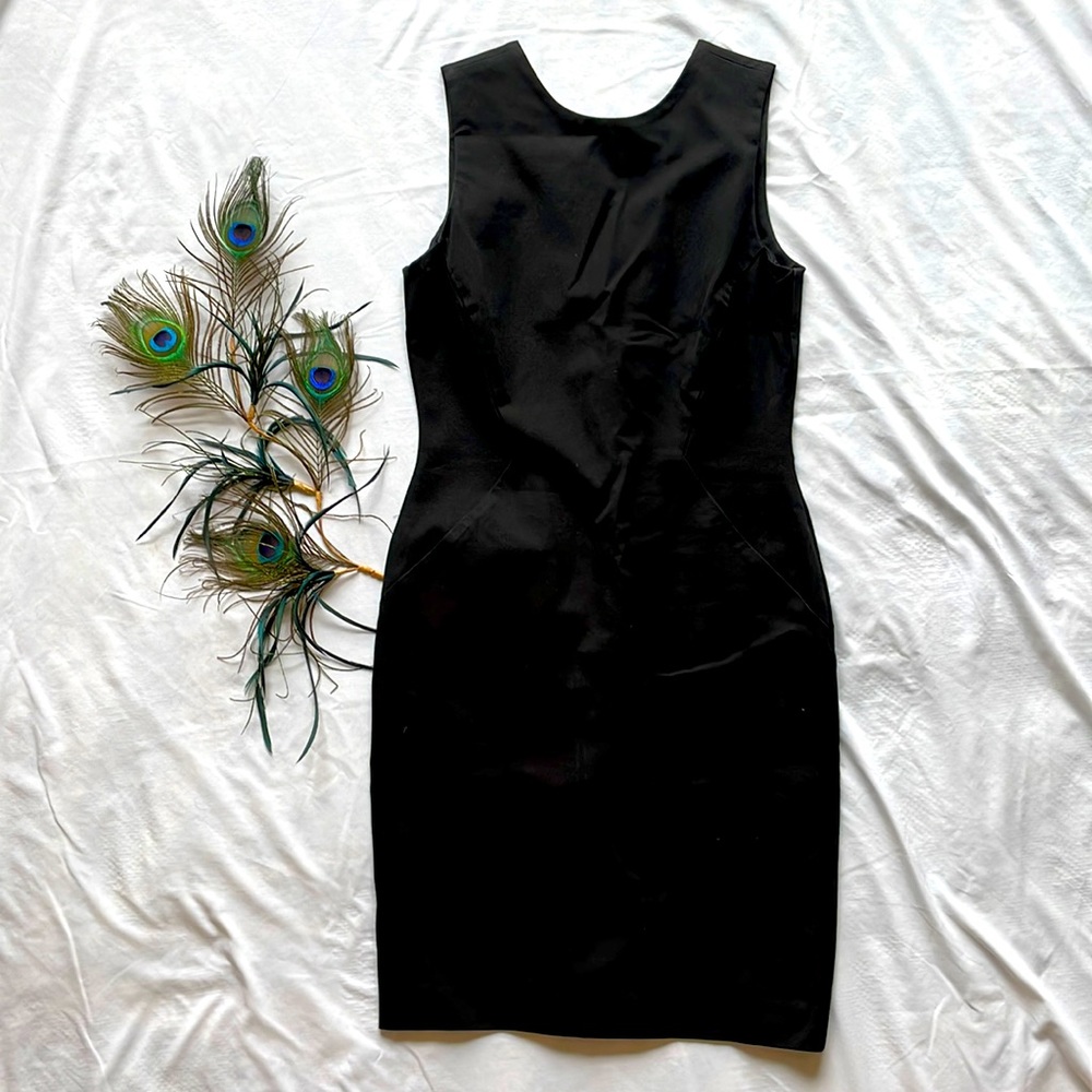 Banana Republic Black Sleeveless Fitted Dress